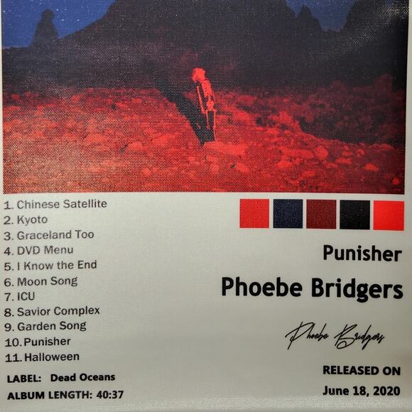 Phoebe Bridgers Punisher Album Cover Canvas Print Poster, Indie, 12x16" Unframed - Picture 3 of 4